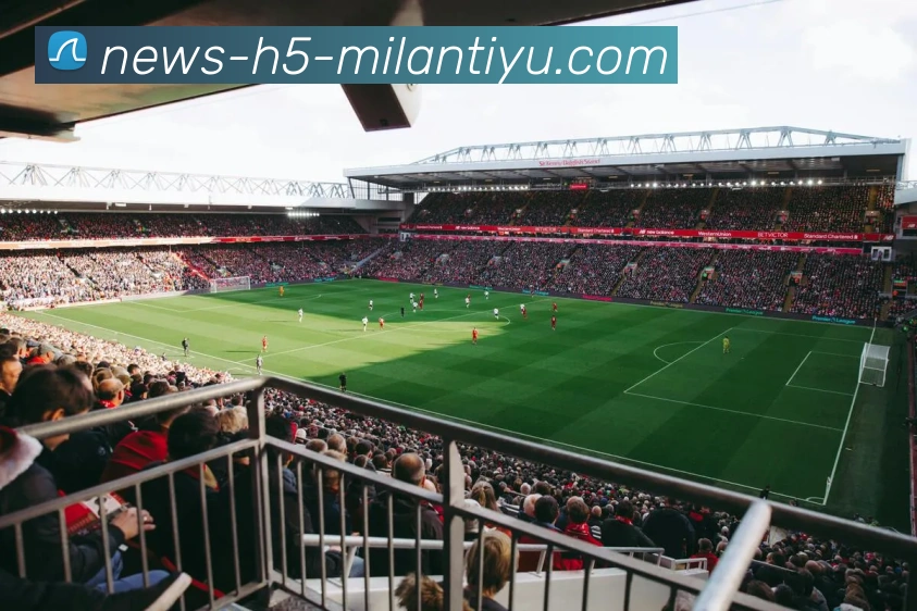 多媒体互动体验